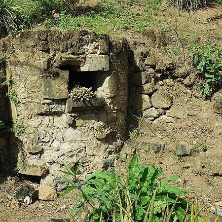 Le Pitaya Villa Baillif Dış mekan fotoğraf