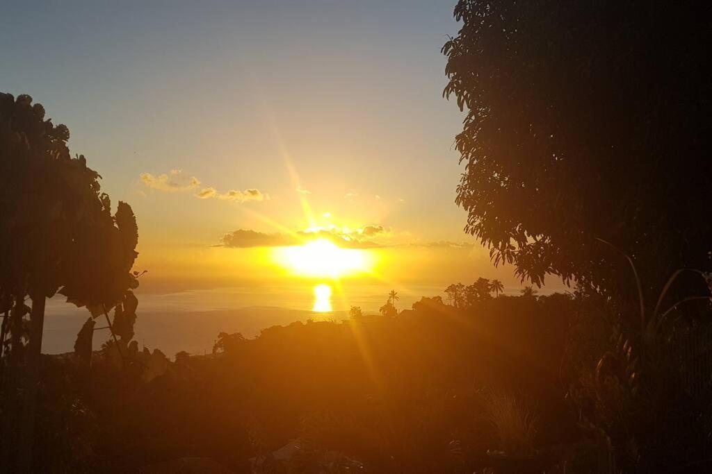 Le Pitaya Villa Baillif Dış mekan fotoğraf